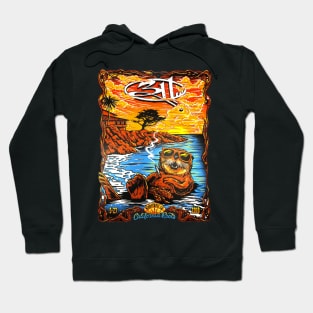 311 band Hoodie